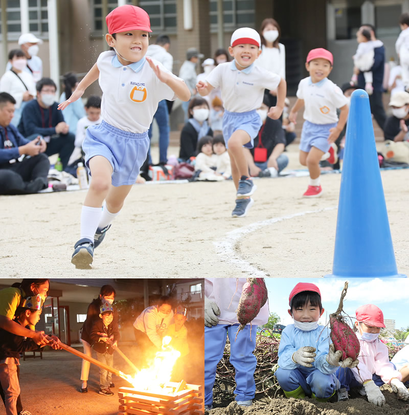 運動会　　キャンプごっこ　芋ほり