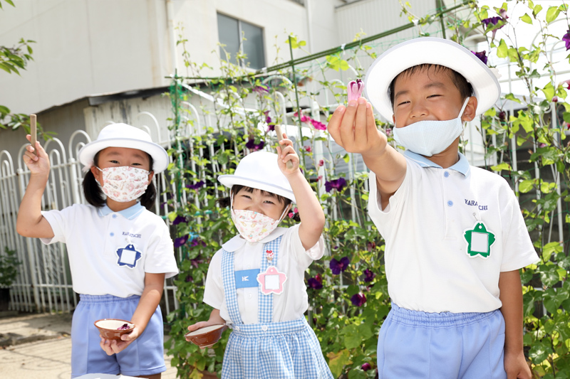 尼崎市の私立幼稚園武庫からたち幼稚園